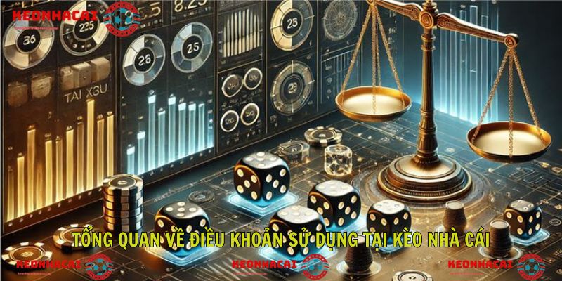 Tổng quan về các điều khoản sử dụng