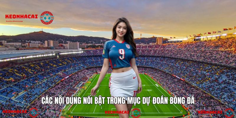 Khám phá chuyên mục hấp dẫn dành riêng cho người yêu bóng.